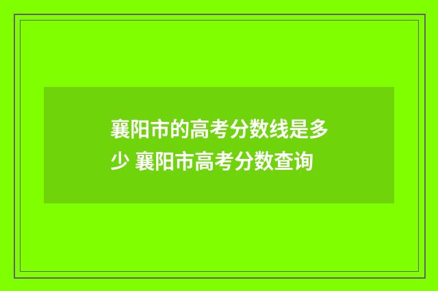 襄阳市的高考分数线是多少 襄阳市高考分数查询
