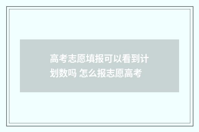 高考志愿填报可以看到计划数吗 怎么报志愿高考