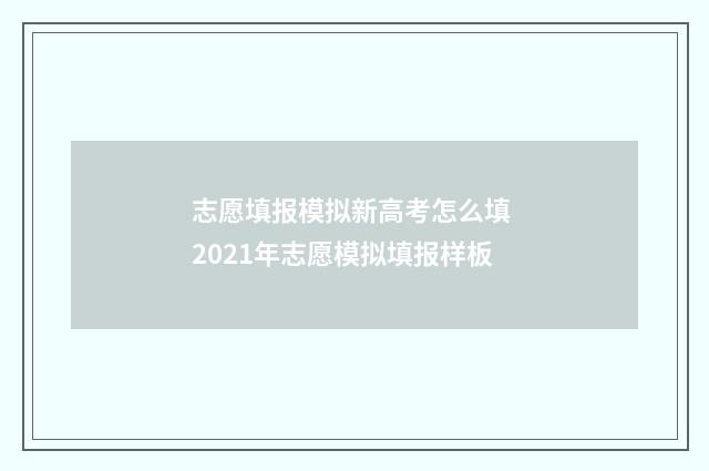 志愿填报模拟新高考怎么填 2021年志愿模拟填报样板