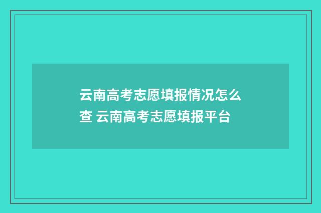 云南高考志愿填报情况怎么查 云南高考志愿填报平台