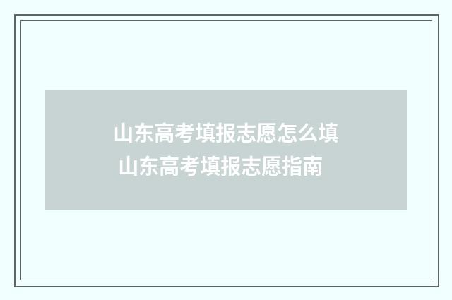 山东高考填报志愿怎么填 山东高考填报志愿指南