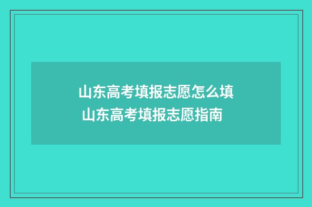 山东高考填报志愿怎么填 山东高考填报志愿指南