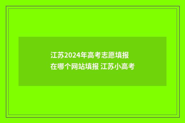 江苏2024年高考志愿填报在哪个网站填报 江苏小高考