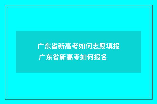 广东省新高考如何志愿填报 广东省新高考如何报名