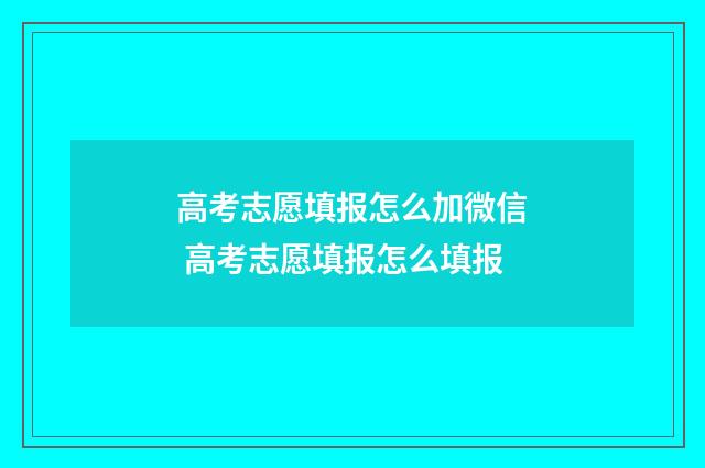 高考志愿填报怎么加微信 高考志愿填报怎么填报