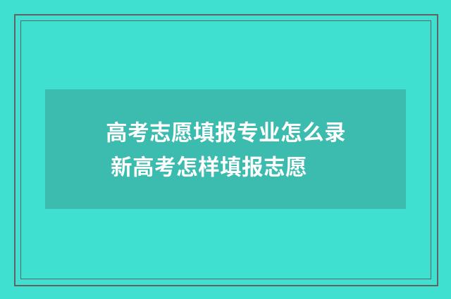 高考志愿填报专业怎么录 新高考怎样填报志愿