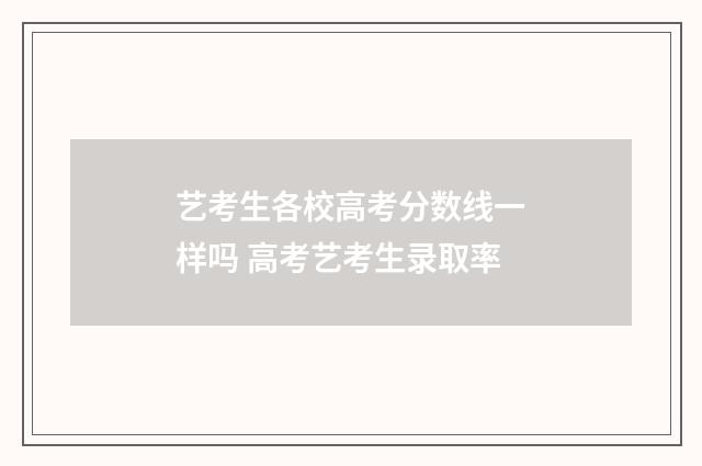 艺考生各校高考分数线一样吗 高考艺考生录取率