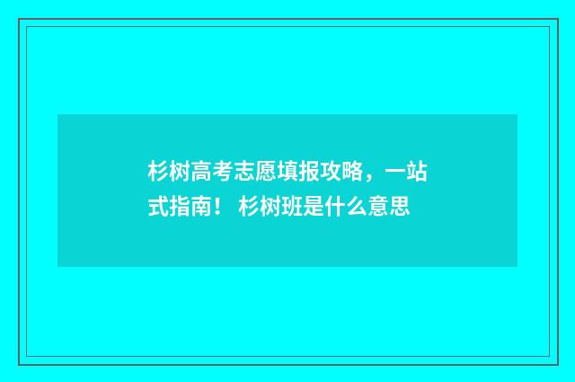 杉树高考志愿填报攻略，一站式指南！ 杉树班是什么意思