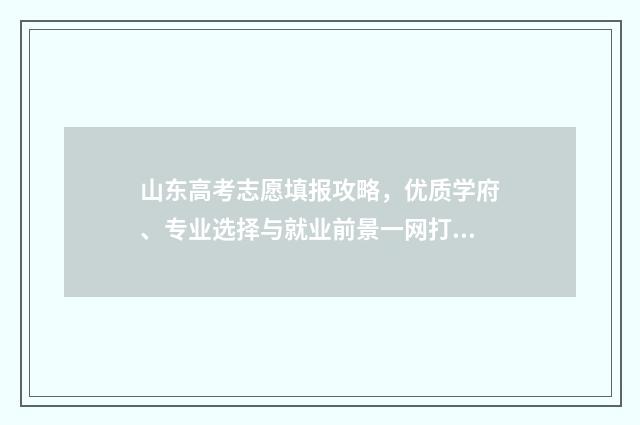 山东高考志愿填报攻略，优质学府、专业选择与就业前景一网打尽！ 山东单招分数线