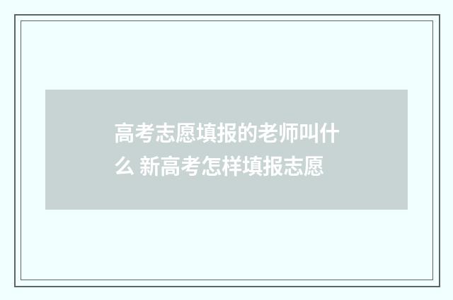 高考志愿填报的老师叫什么 新高考怎样填报志愿