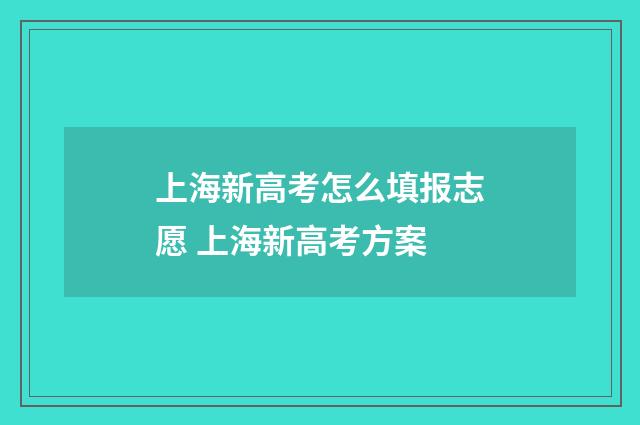 上海新高考怎么填报志愿 上海新高考方案