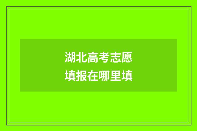 湖北高考志愿填报在哪里填