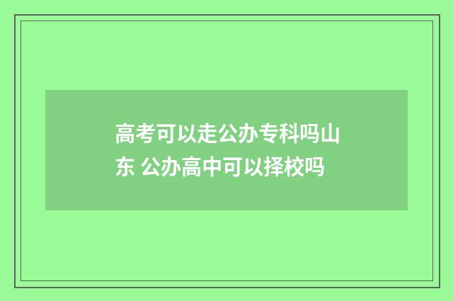 高考可以走公办专科吗山东 公办高中可以择校吗