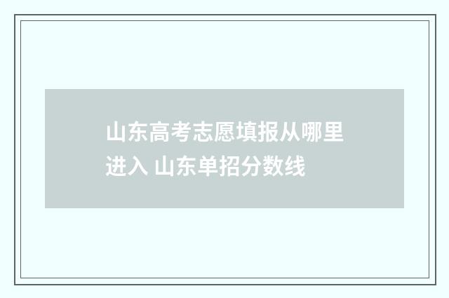 山东高考志愿填报从哪里进入 山东单招分数线