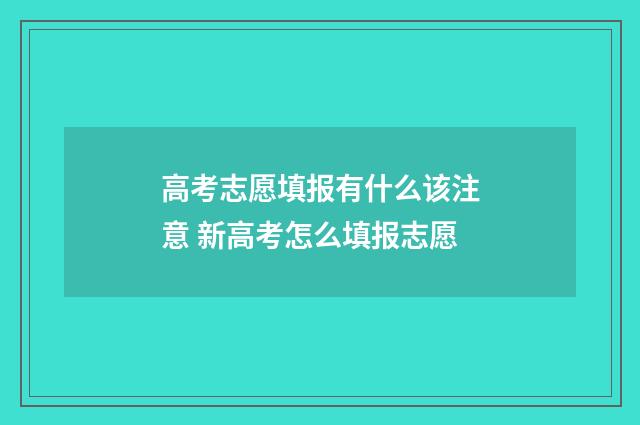 高考志愿填报有什么该注意 新高考怎么填报志愿
