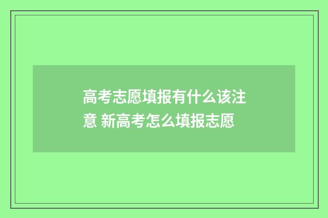 高考志愿填报有什么该注意 新高考怎么填报志愿