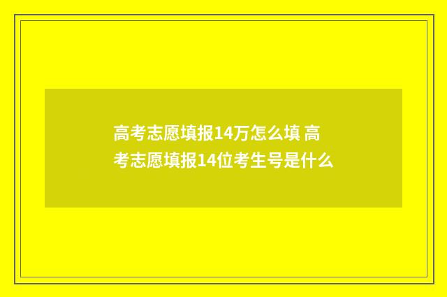 高考志愿填报14万怎么填 高考志愿填报14位考生号是什么