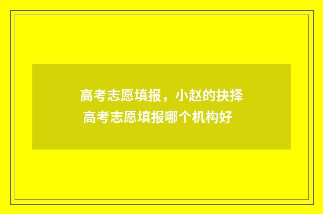 高考志愿填报，小赵的抉择 高考志愿填报哪个机构好