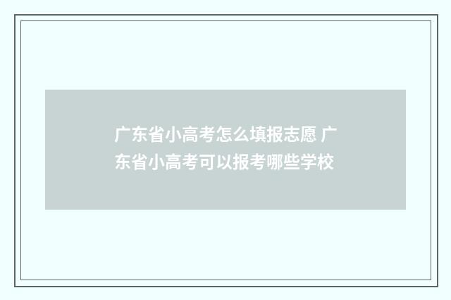 广东省小高考怎么填报志愿 广东省小高考可以报考哪些学校