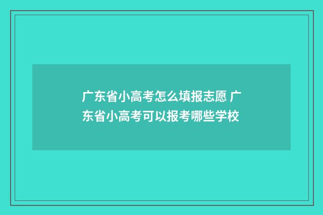 广东省小高考怎么填报志愿 广东省小高考可以报考哪些学校
