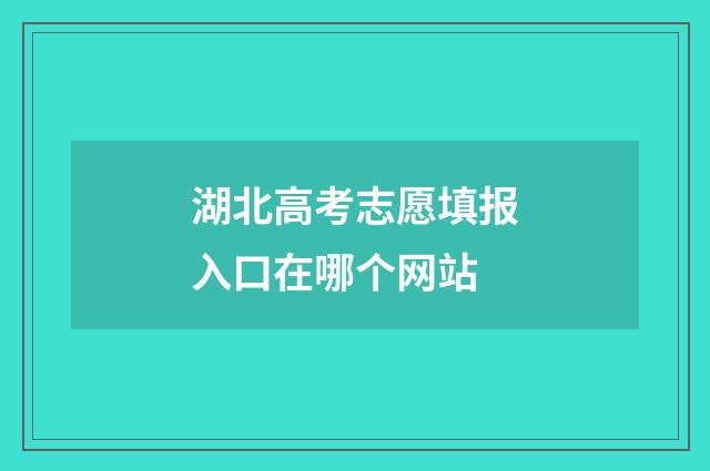 湖北高考志愿填报入口在哪个网站