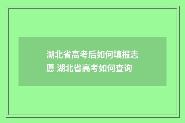 湖北省高考后如何填报志愿 湖北省高考如何查询