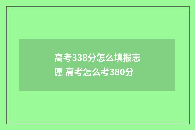 高考338分怎么填报志愿 高考怎么考380分