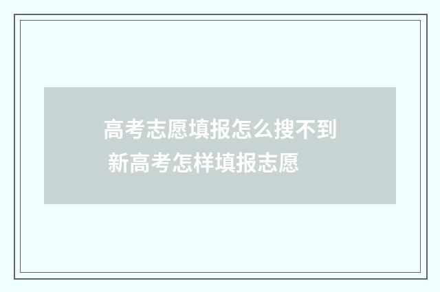 高考志愿填报怎么搜不到 新高考怎样填报志愿