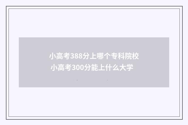 小高考388分上哪个专科院校 小高考300分能上什么大学