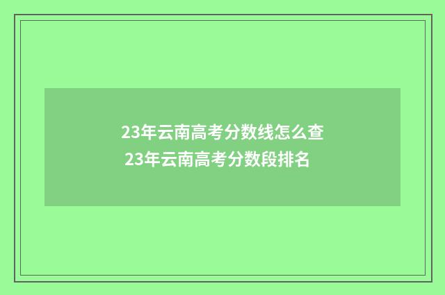 23年云南高考分数线怎么查 23年云南高考分数段排名