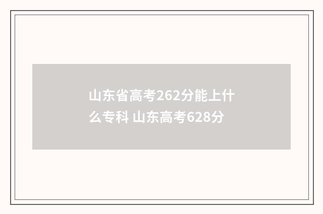 山东省高考262分能上什么专科 山东高考628分