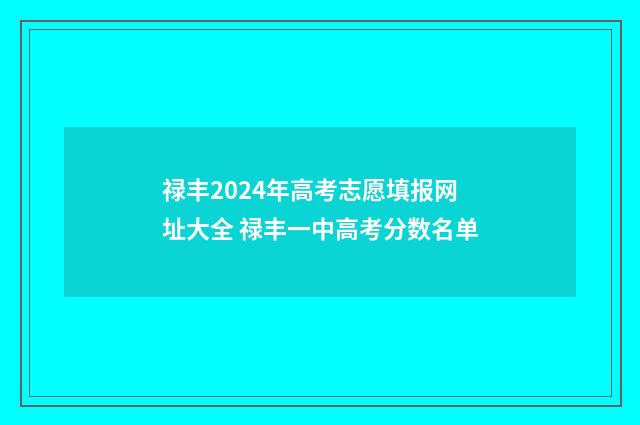 禄丰2024年高考志愿填报网址大全 禄丰一中高考分数名单