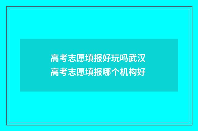 高考志愿填报好玩吗武汉 高考志愿填报哪个机构好