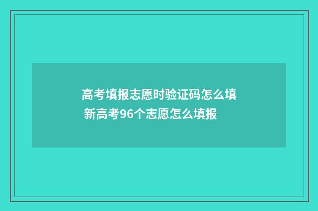 高考填报志愿时验证码怎么填 新高考96个志愿怎么填报