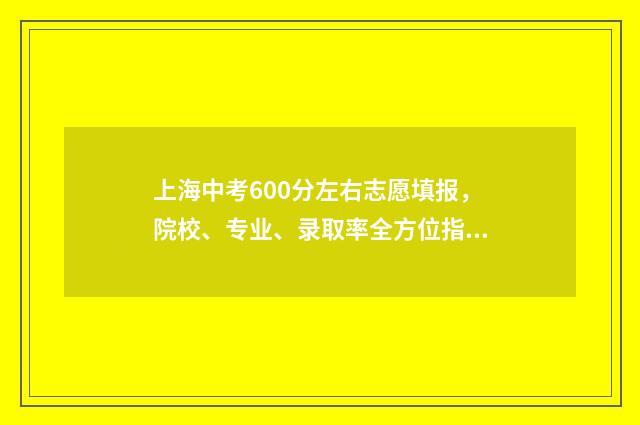 上海中考600分左右志愿填报，院校、专业、录取率全方位指南 上海中考600分左右能上高中吗