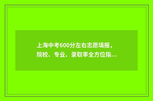 上海中考600分左右志愿填报，院校、专业、录取率全方位指南 上海中考600分左右能上高中吗