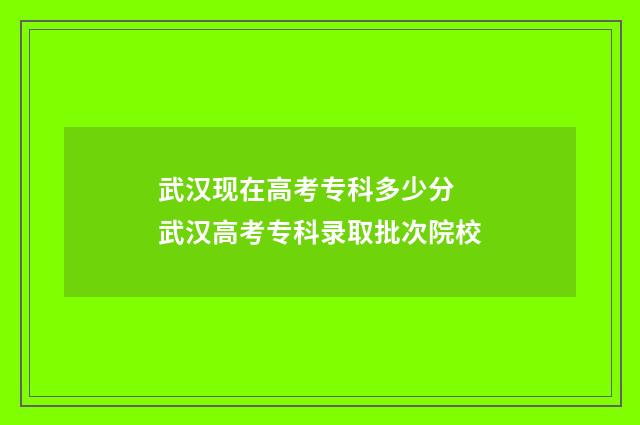 武汉现在高考专科多少分 武汉高考专科录取批次院校