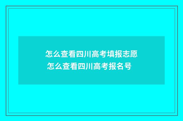怎么查看四川高考填报志愿 怎么查看四川高考报名号
