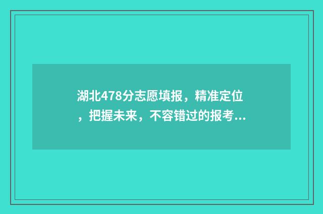 湖北478分志愿填报，精准定位，把握未来，不容错过的报考指南 湖北480分