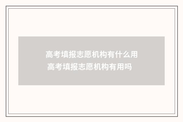高考填报志愿机构有什么用 高考填报志愿机构有用吗