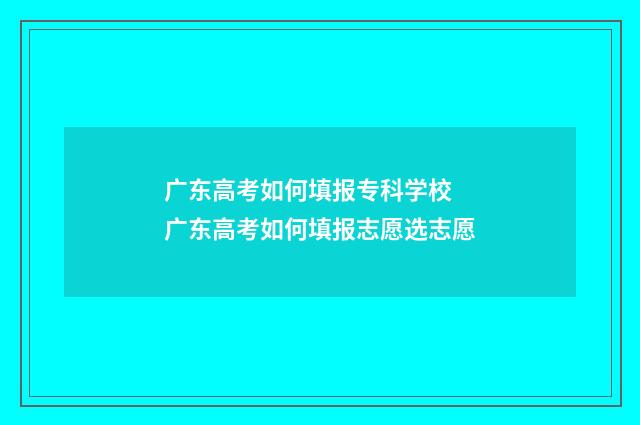 广东高考如何填报专科学校 广东高考如何填报志愿选志愿