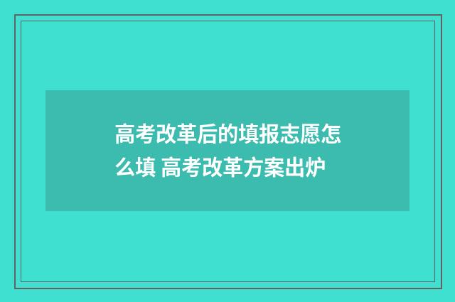高考改革后的填报志愿怎么填 高考改革方案出炉