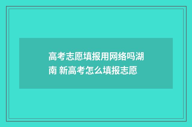 高考志愿填报用网络吗湖南 新高考怎么填报志愿