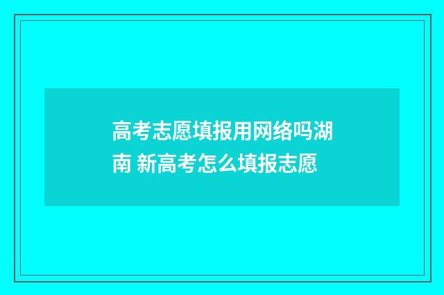 高考志愿填报用网络吗湖南 新高考怎么填报志愿