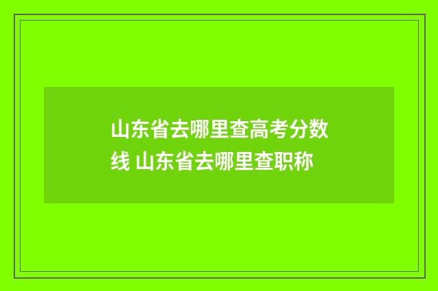 山东省去哪里查高考分数线 山东省去哪里查职称