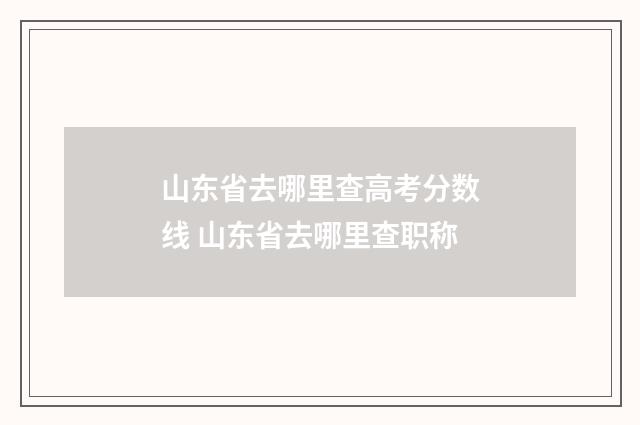 山东省去哪里查高考分数线 山东省去哪里查职称