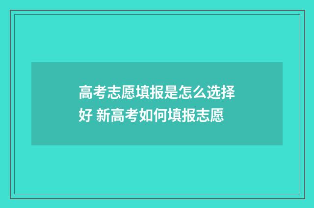高考志愿填报是怎么选择好 新高考如何填报志愿