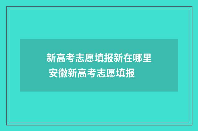 新高考志愿填报新在哪里 安徽新高考志愿填报