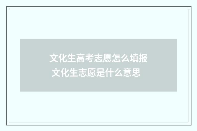 文化生高考志愿怎么填报 文化生志愿是什么意思