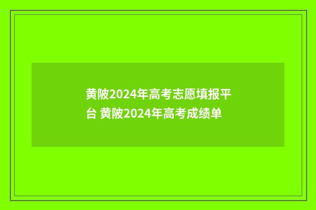 黄陂2024年高考志愿填报平台 黄陂2024年高考成绩单